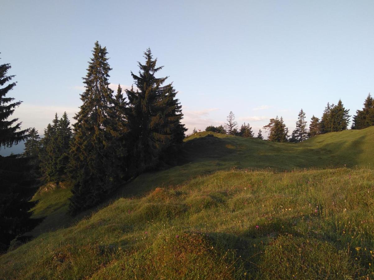 Leitnerhof Villa Нийдерау Екстериор снимка